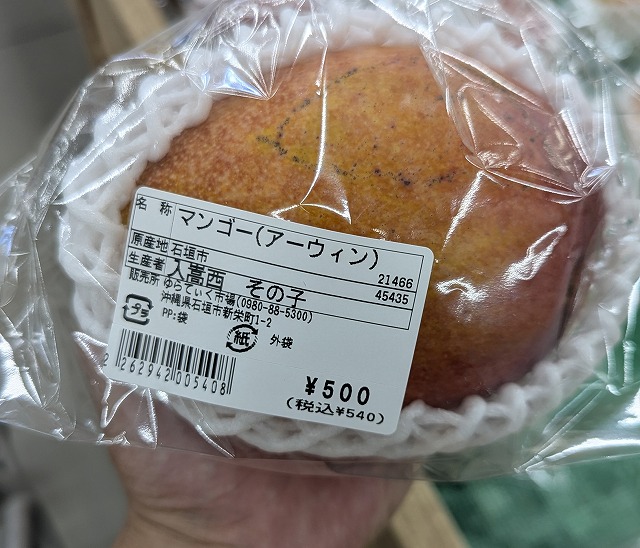 500円の巨大マンゴー