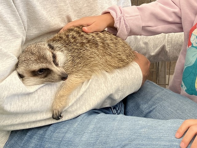 平野アニマルテラス