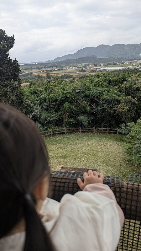 展望台からの眺め