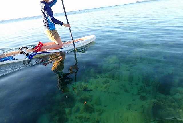 青の洞窟ツアーの様子