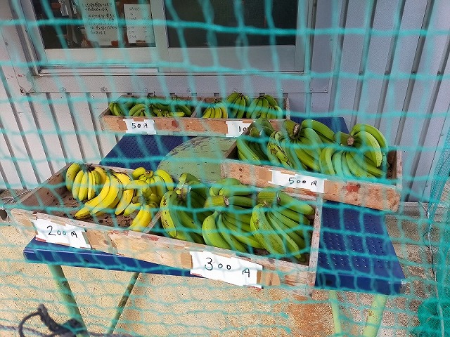 無人販売所に並ぶバナナ