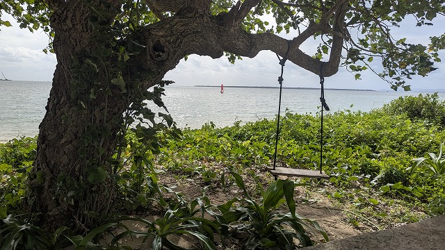舟蔵公園横のブランコ