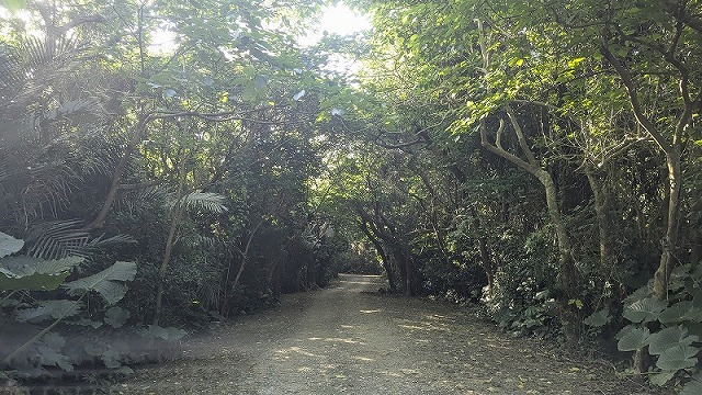 フルスト原遺跡への道