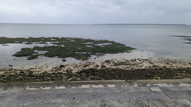 遊歩道から見た遠浅の岩場と海