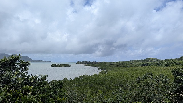 Mangrove forest at Ishinagata Coast, Kohama Island