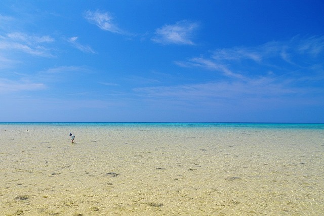 自然の中で遊ぶ子供