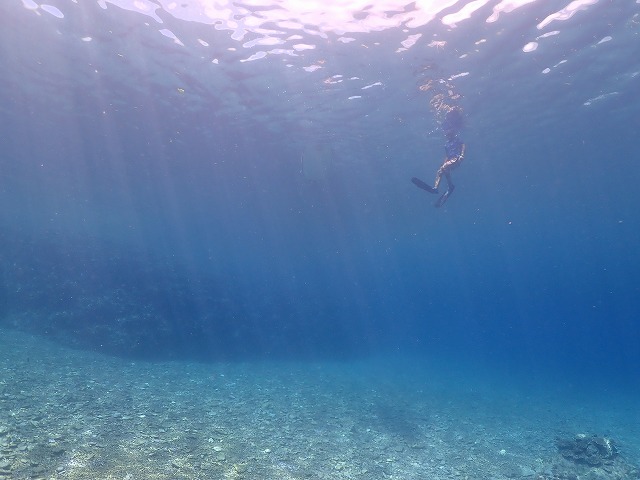 石垣島のプール
