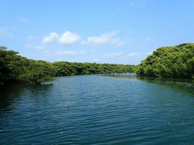 穏やかな宮良川