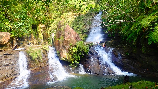 Naara Falls, deep in Iriomote Island's jungle