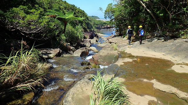 Oomija River estuary on Iriomote Island