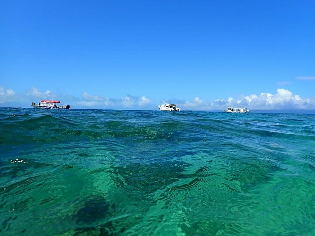 沖に見えるダイビング船