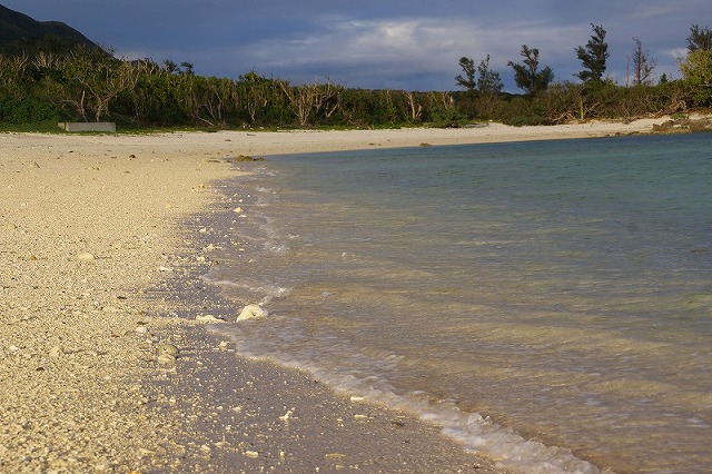 プライベートビーチの静かな海