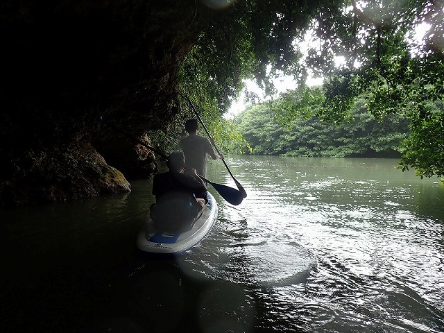マングローブカヤックのイメージ