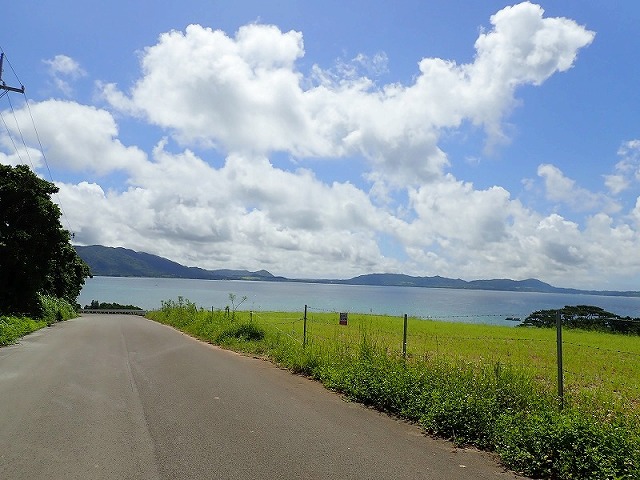 石垣島のドライブ