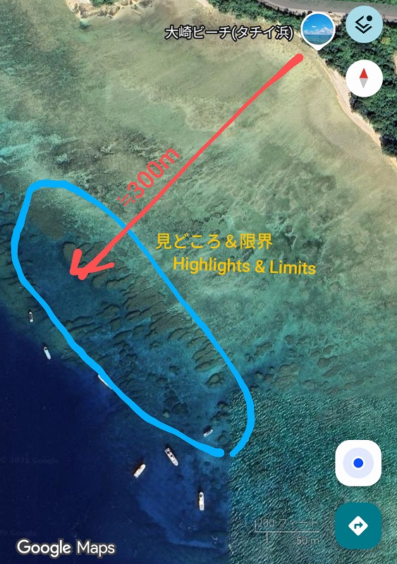 泳いでいい範囲の解説