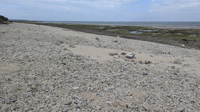 珊瑚の礫が広がる波打ち際と水平線