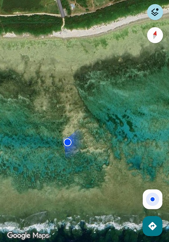 干潮時に沖合100mまで歩ける様子