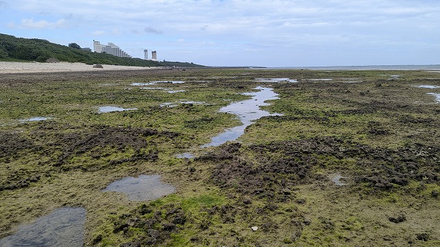 石垣島の海と空