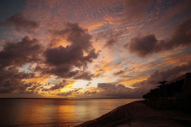 遊歩道からの眺め