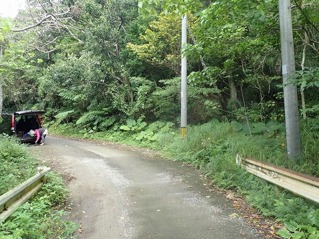 屋比久の滝への入り口となる橋