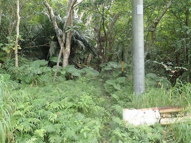 ガードレール脇の入り口