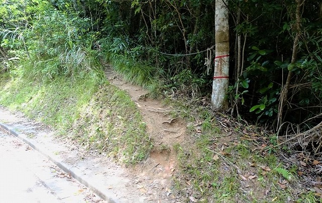 登山口の様子
